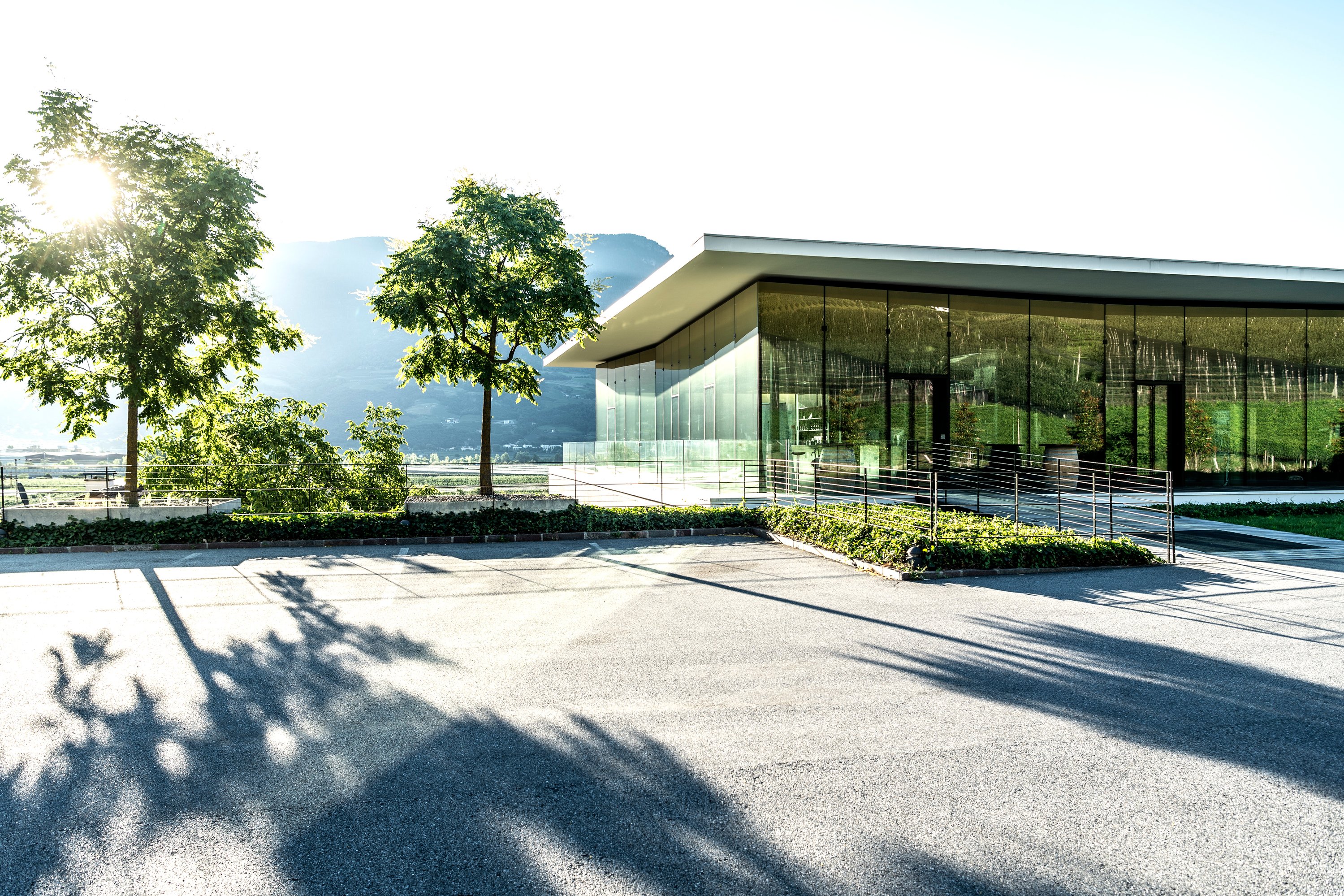 Merano Winery at Vinothek Munzert and online